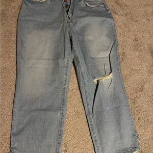 Universal Thread Curvy Vintage Straight Light Blue Jeans